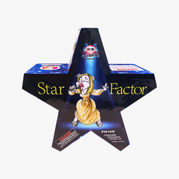 Star Factor Fountain